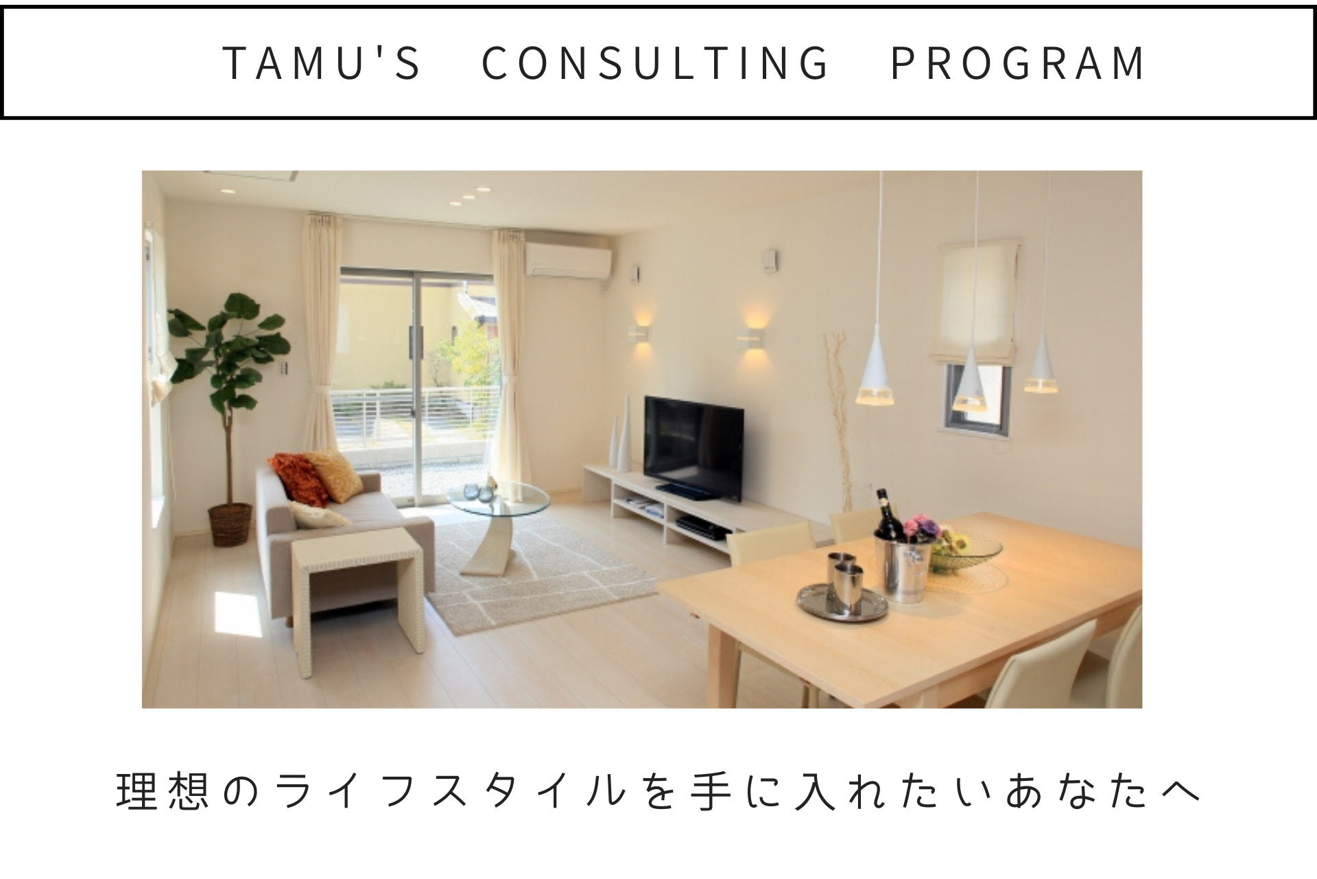 Tamu's Consulting Program